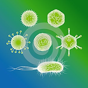 Influenza viruses and E coli Bacteria