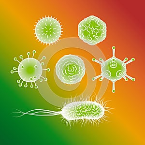 Influenza viruses and E coli Bacteria