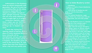 Info graphic about the beneficial properties of blueberry juice and a method of preparing juice.