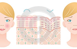 Info graphic skin layer illustration. young skin and old skin with woman face. beauty and skin care concept photo