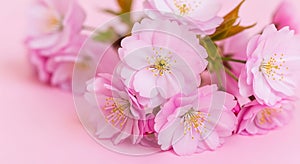 [2025-08-11 12:39:00,012] [INFO] [real_accelerator.py:254:get_accelerator] Setting ds_accelerator to cuda (auto detect) [2025-08-1