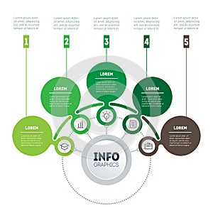 Infographic or eco Business presentation with 5 options. Web Template of a chart, mindmap or diagram. Vector dynamic