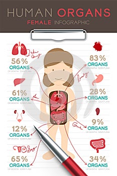 Infographic Female Human Organ set, Doctor writing paper chart with pad