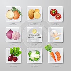 Infographic food vegetables flat lay idea. Vector illustration