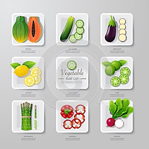 Infographic food vegetables flat lay idea. Vector illustration