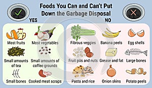 Infographic of food waste disposer for home kitchen sink with kitchen scraps falling into it. What you can throw into garbage