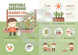 Infographic how to grow vegetable beginner tips