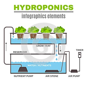 Infographic Hydroponic Illustration photo