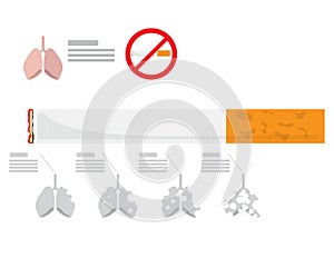 Infographic for lung destroy from cigarette, tobacco