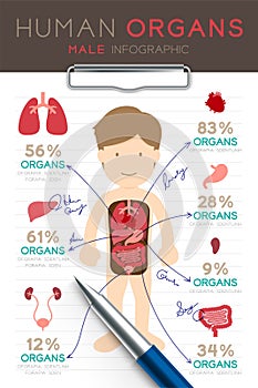 Infographic Male Human Organ set, Doctor writing paper chart with pad