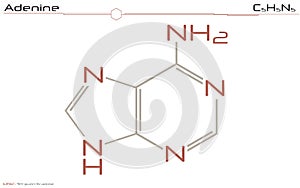 Molecule of Adenine