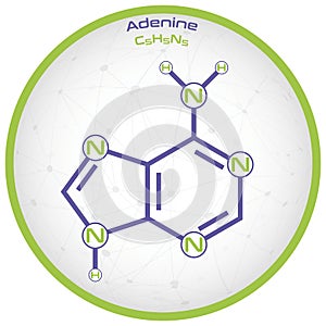 Infographic of the molecule of Adenine