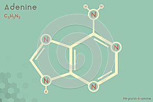 Infographic of the molecule of Adenine