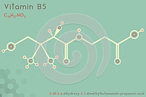 Infographic of the molecule of Vitamin B5