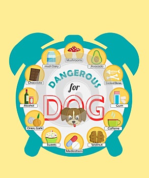 Infographic poster about food and snacks that are dangerous for your dog and may cause intoxication. A set of icons