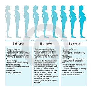 Infographic of pregnant woman in different period