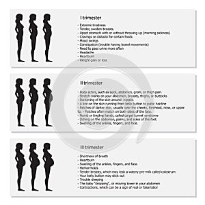 Infographic of pregnant woman in different period