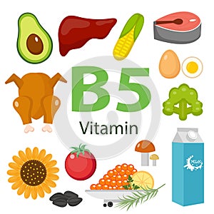 Infographic set of vitamin B5 and useful products avocado, cauliflower, egg, bean, corn, milk, fig, mushroom. Healthy