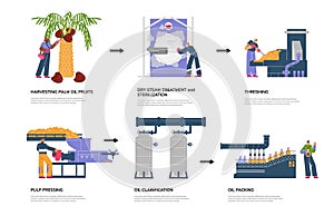Infographic with stages of palm oil production flat style, vector illustration