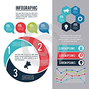 Infographic styles and organization