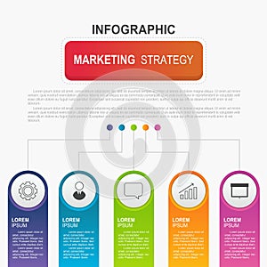 Infographic template with 5 options, vector circles template design for annual report, workflow and business presentation.