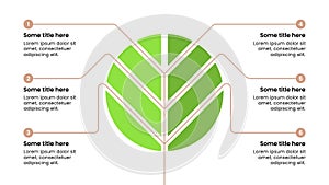 Infographic template. Abstract tree in a circle with 6 steps