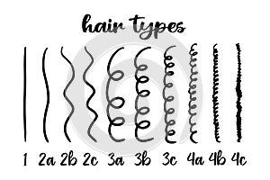 Infographic vector illustration with different hair types - straight, wavy, curly, coily. Curly girl method. Hair type guide with