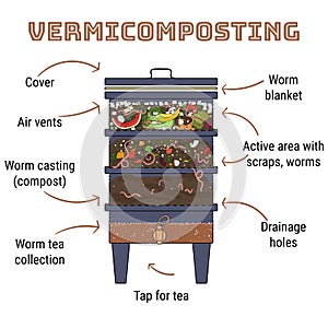 Infographic of vermicomposting. Components of vermicomposter. Vermicomposter schematic design. Worm composting. Recycling organic