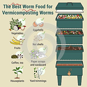 Infographic of vermicomposting. What to compost. Worm composting. Recycling organic waste, compost. Sustainable living, zero waste