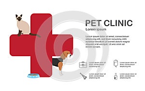 Infographic of Veterinarian man with animal