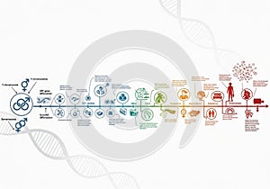 Infographic visualizing the history and evolution of the Y