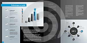 Infographics page layout.