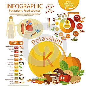 Infographics of potassium content in natural organic food products photo