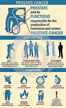 Infographics of prostate cancer illustration. Prostate cancer symptoms, risk factors. photo