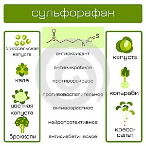 Infographics. Sulforaphane organic compound