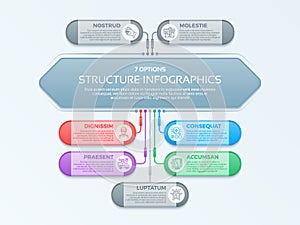 Infographics template with 7 structure elements of business orga