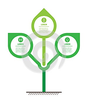 Infographics or timeline with 3 options. Vector Stylized tree with leafs. Development of the eco business or green technology. The