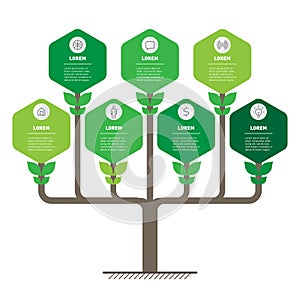 Infographics or tree with 7 options, research in science and Green technology. Development and growth of the eco business.