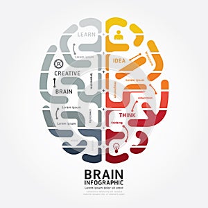 Infographics vector brain design diagram line monochrome colour