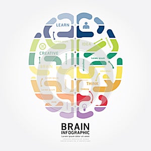 Infographics vector brain design diagram line style template