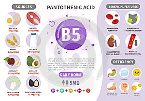 Infographics Vitamin B5.