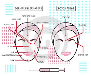 Infograthic poster about dermal fillers and botox ares. Injections. Cosmetology. Beauty. Vector Illustration. photo
