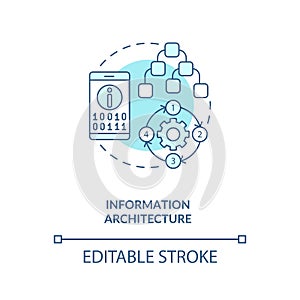 Information architecture concept icon