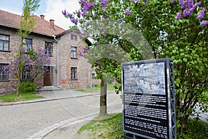 Information board and the 24th block from Auschwitz photo