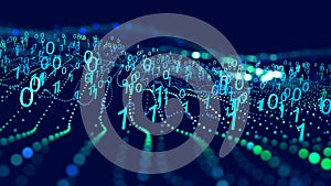 Information field, binary code, data encoding, data flow, digital security