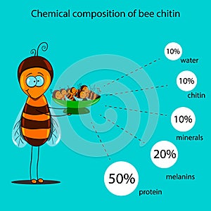 The information poster containing information on a chemical composition of bee chitin photo