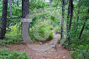 Information Sign on the Appalachian Trail