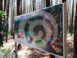 information sign board on
pine forest in Mount Merbabu National Park