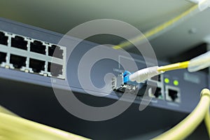 Information Technology Computer Network, Telecommunication Ethernet Cables Connected to Internet Switch