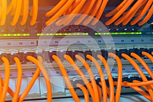 Information Technology Computer Network, Telecommunication Ethernet Cables Connected to Internet Switch